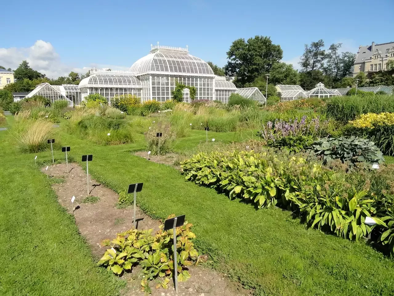 Cost Effective Hoop House Greenhouse for Gardening