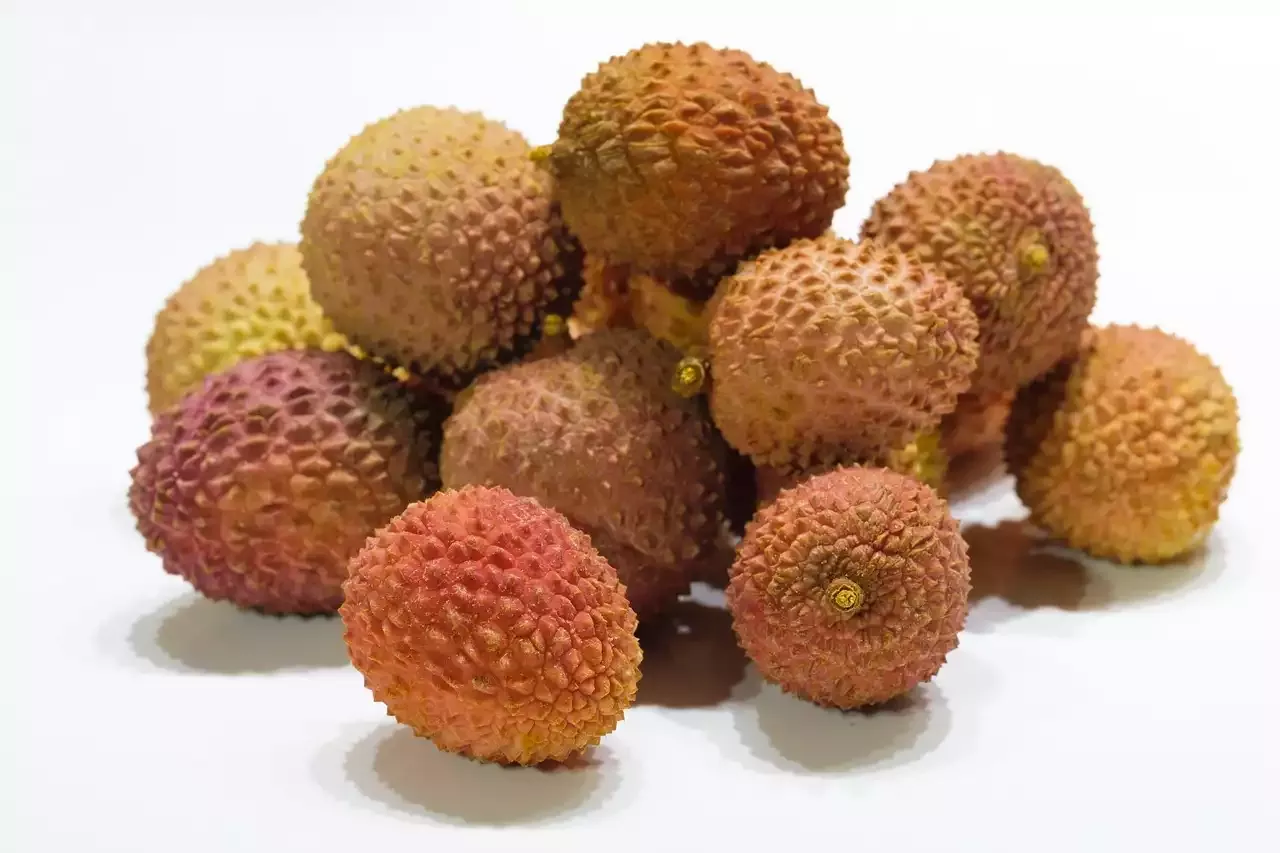 The Tropical Grape Lychee Trees